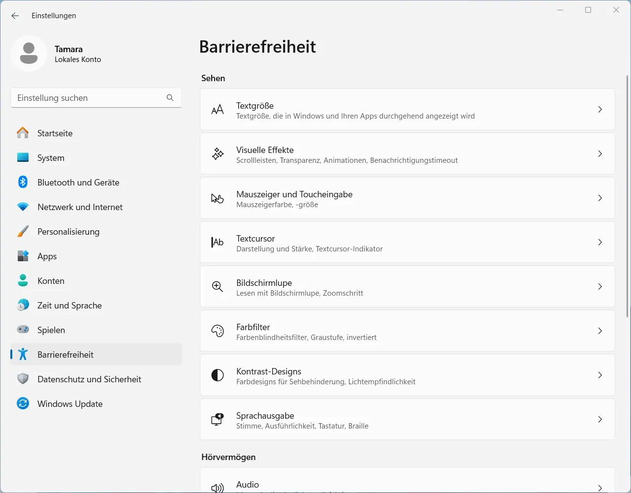 Das Fenster für Barrierefreiheit unter Windows 11