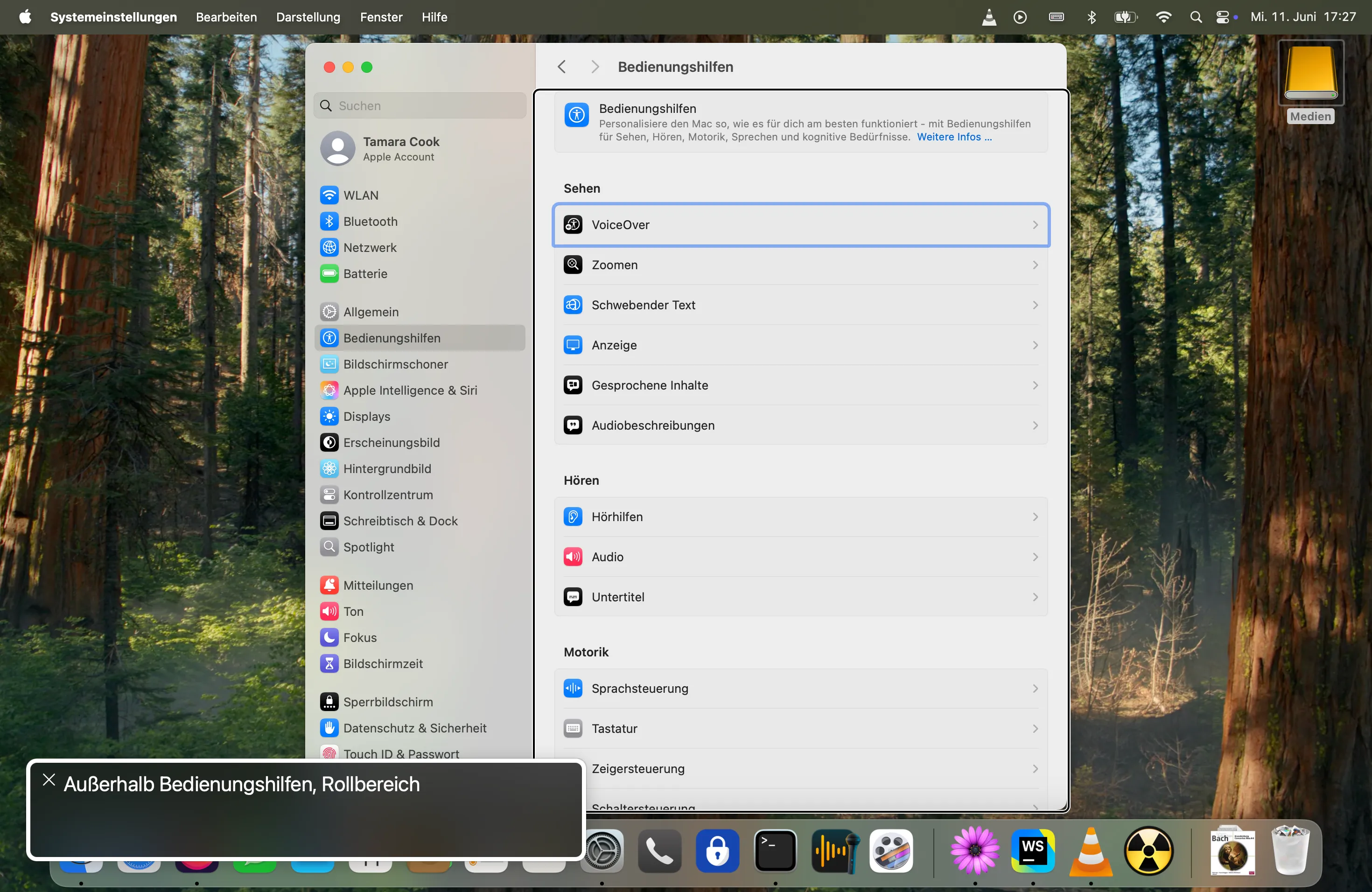 Das Fenster für Bedienungshilfen in den Systemeinstellungen von macOS