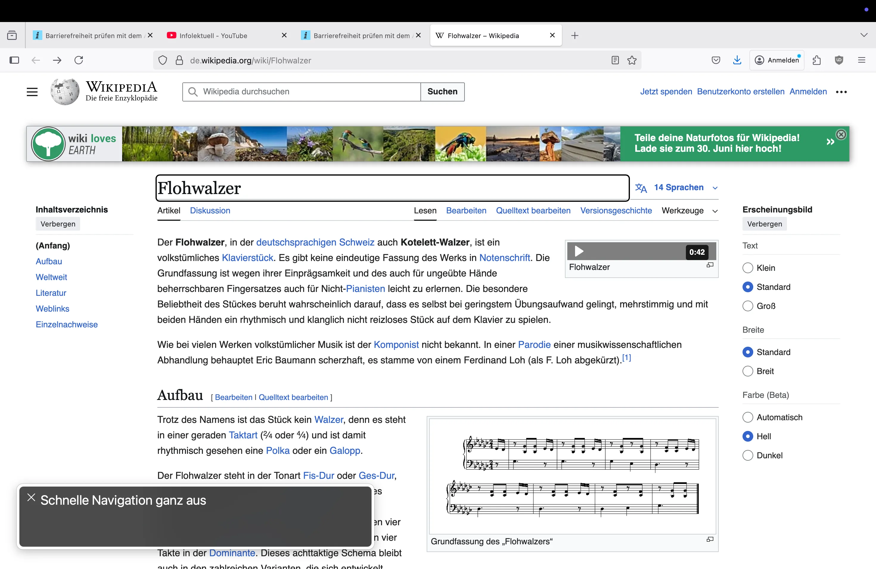 Der Artikel über den Flohwalzer auf Wikipedia